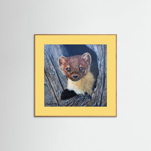 Curious Pine Marten - fine art print from original acrylic painting - Cairngorm Artists