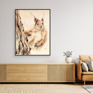 "Curious Squirrel" - Canvas print from original drawing - Cairngorm Artists