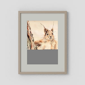 Curious Squirrel - fine art print from original artwork - Cairngorm Artists