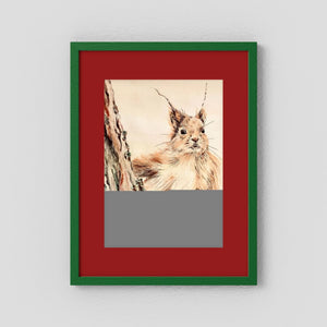 Curious Squirrel - fine art print from original artwork - Cairngorm Artists
