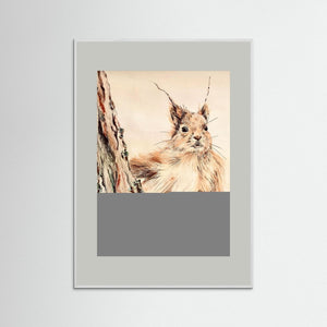 Curious Squirrel - fine art print from original artwork - Cairngorm Artists