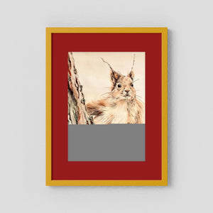 Curious Squirrel - fine art print from original artwork - Cairngorm Artists