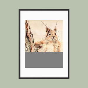 Curious Squirrel - fine art print from original artwork - Cairngorm Artists