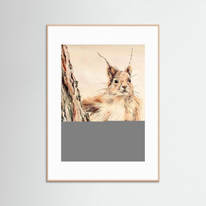 Curious Squirrel - fine art print from original artwork - Cairngorm Artists