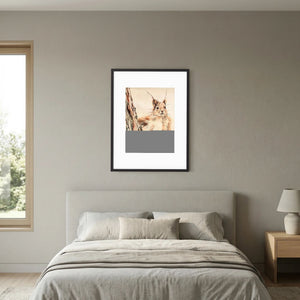 Curious Squirrel - fine art print from original artwork - Cairngorm Artists