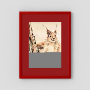 Curious Squirrel - fine art print from original artwork - Cairngorm Artists