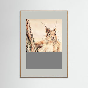 Curious Squirrel - fine art print from original artwork - Cairngorm Artists