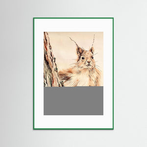 Curious Squirrel - fine art print from original artwork - Cairngorm Artists
