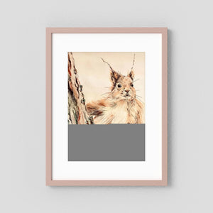 Curious Squirrel - fine art print from original artwork - Cairngorm Artists
