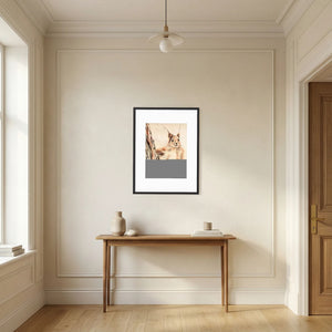 Curious Squirrel - fine art print from original artwork - Cairngorm Artists