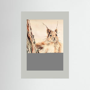 Curious Squirrel - fine art print from original artwork - Cairngorm Artists