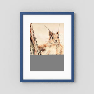 Curious Squirrel - fine art print from original artwork - Cairngorm Artists