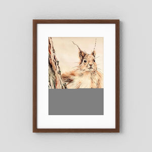 Curious Squirrel - fine art print from original artwork - Cairngorm Artists