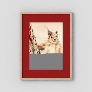 Curious Squirrel - fine art print from original artwork - Cairngorm Artists