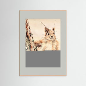 Curious Squirrel - fine art print from original artwork - Cairngorm Artists