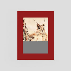 Curious Squirrel - fine art print from original artwork - Cairngorm Artists