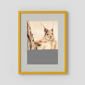 Curious Squirrel - fine art print from original artwork - Cairngorm Artists