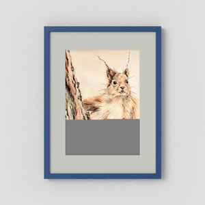 Curious Squirrel - fine art print from original artwork - Cairngorm Artists