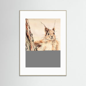 Curious Squirrel - fine art print from original artwork - Cairngorm Artists