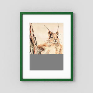Curious Squirrel - fine art print from original artwork - Cairngorm Artists