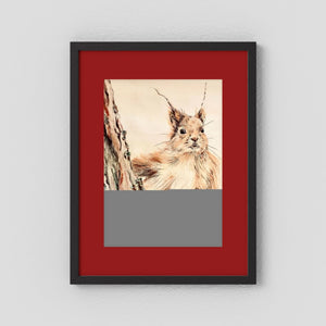 Curious Squirrel - fine art print from original artwork - Cairngorm Artists