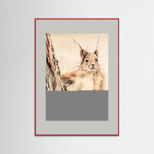 Curious Squirrel - fine art print from original artwork - Cairngorm Artists