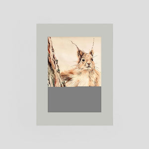 Curious Squirrel - fine art print from original artwork - Cairngorm Artists