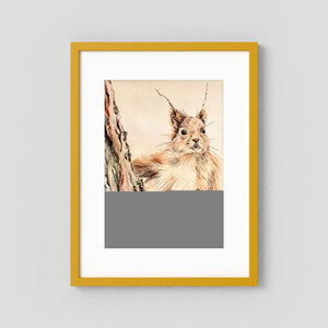 Curious Squirrel - fine art print from original artwork - Cairngorm Artists
