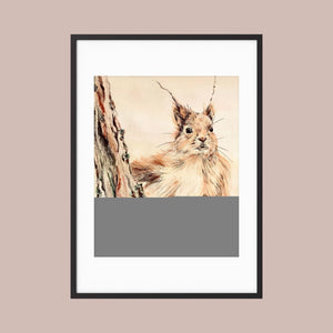 Curious Squirrel - fine art print from original artwork - Cairngorm Artists