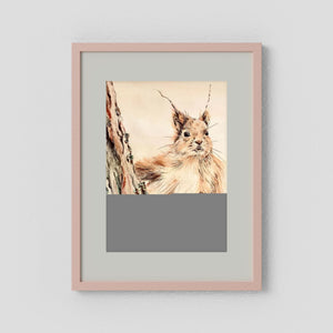 Curious Squirrel - fine art print from original artwork - Cairngorm Artists