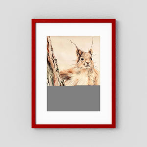 Curious Squirrel - fine art print from original artwork - Cairngorm Artists