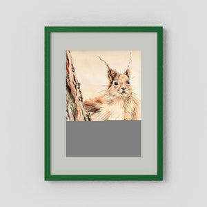 Curious Squirrel - fine art print from original artwork - Cairngorm Artists