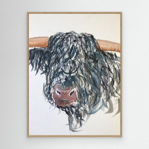 Curly Highlander - canvas print from original artwork - Cairngorm Artists