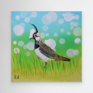 Dappled Lapwing - canvas print from original artwork - Cairngorm Artists