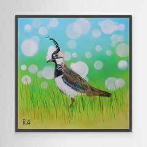 Dappled Lapwing - canvas print from original artwork - Cairngorm Artists