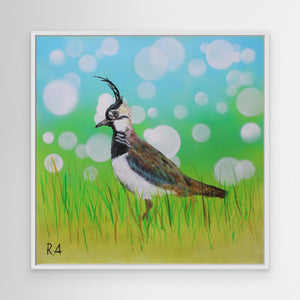 Dappled Lapwing - canvas print from original artwork - Cairngorm Artists