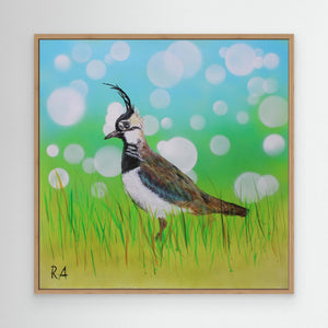 Dappled Lapwing - canvas print from original artwork - Cairngorm Artists