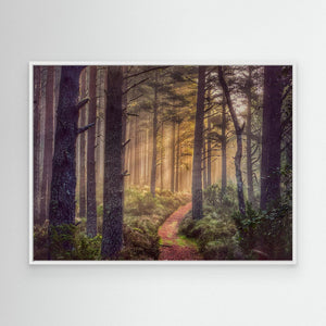 Early Morning Trail - canvas print from original photograph - Cairngorm Artists
