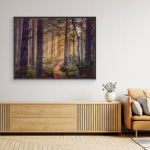 Early Morning Trail - canvas print from original photograph - Cairngorm Artists