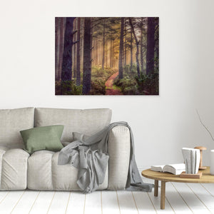 Early Morning Trail - canvas print from original photograph - Cairngorm Artists