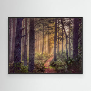 Early Morning Trail - canvas print from original photograph - Cairngorm Artists