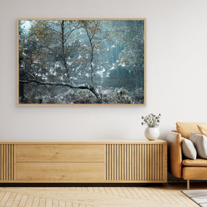 Fairy Forest Abernethy - Canvas print from original photograph - Cairngorm Artists