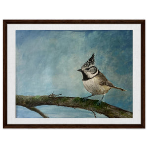 Framed Canvas - Crested Tit - Cairngorm Artists
