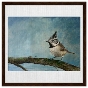 Framed Canvas - Crested Tit - Cairngorm Artists
