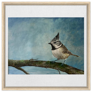 Framed Canvas - Crested Tit - Cairngorm Artists