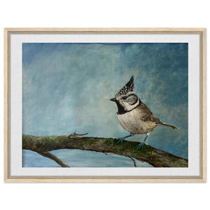 Framed Canvas - Crested Tit - Cairngorm Artists