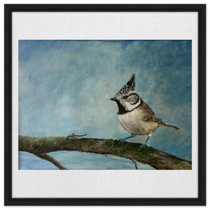 Framed Canvas - Crested Tit - Cairngorm Artists