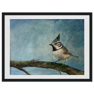 Framed Canvas - Crested Tit - Cairngorm Artists