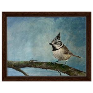 Framed Canvas - Crested Tit - Cairngorm Artists
