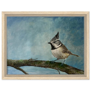 Framed Canvas - Crested Tit - Cairngorm Artists